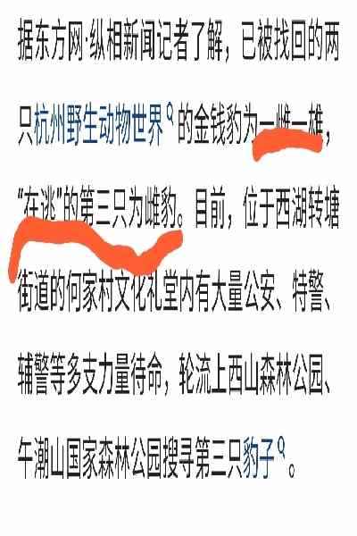 3只越狱的金钱豹有话要说