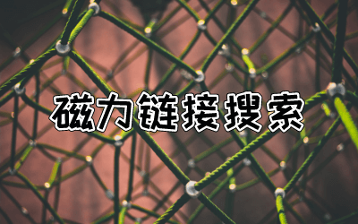 磁力搜索网站大全 